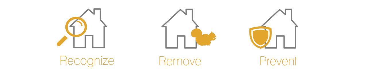 recognize-remove-prevent_block_2