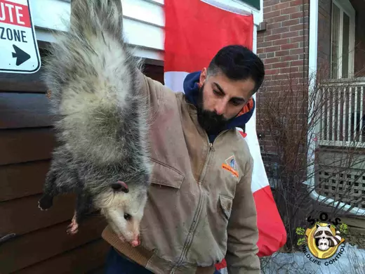 OPOSSUM2